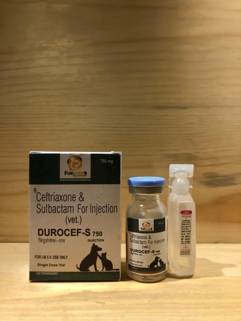  furever 9 Durocef-S is a strong antibiotic used for cats & dogs